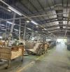 ✓ CHO THUÊ KHO TRUNG TÂM TP. THỦ DẦU MỘT . HCM (BÌNH DƯƠNG CŨ) • Diện tích kho: 3.360m².