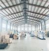 CHUYỂN NHƯỢNG NHÀ XƯỞNG MAY MẶC QUY MÔ LỚN TẠI TRÀ VINH – HẠ TẦNG HOÀN CHỈNH, SẴN SÀNG VẬN