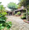 HOMESTAY 6 PHÒNG – GẦN BIỂN HỘI AN – CHỈ 9.2 TỶ 🌿