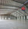 XN371 Cho thuê xưởng SX 9000m2. Gần Cầu Thủ Biên và Sông Đồng Nai. Xã Thường Tân, Bình Dươ