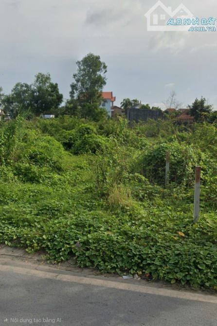 BÁN ĐẤT MT ĐOÀN NGUYÊN TUẤN TÂN QUÝ TÂY BÌNH CHÁNH, 188M2, 110M2 THỔ CƯ, GIÁ CHỈ 7,3 T - 2