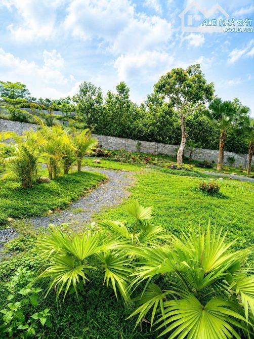 🌿 BÁN MẢNH ĐẤT NHÀ VƯỜN ĐỒNG BÈN – 863,8M² | KHÔNG GIAN SỐNG ĐẲNG CẤP, GIÁ 17 TRIỆU/M² 🌿 - 5