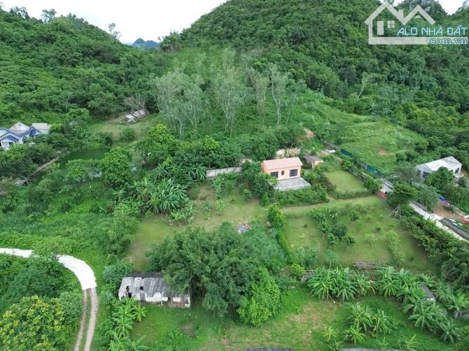 Cần Bán siêu phẩm lô đất 1411m2 cạnh homestay mà còn gần Vành Đai 5 tại Liên Sơn-HB - 6
