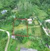 SIÊU PHẨM NGHỈ DƯỠNG 1411M2 CÓ 200M2 CẠNH HOMESTAY ĐẸP, GẦN ĐƯỜNG VÀNH ĐAI 5, GIÁ CỰC RẺ