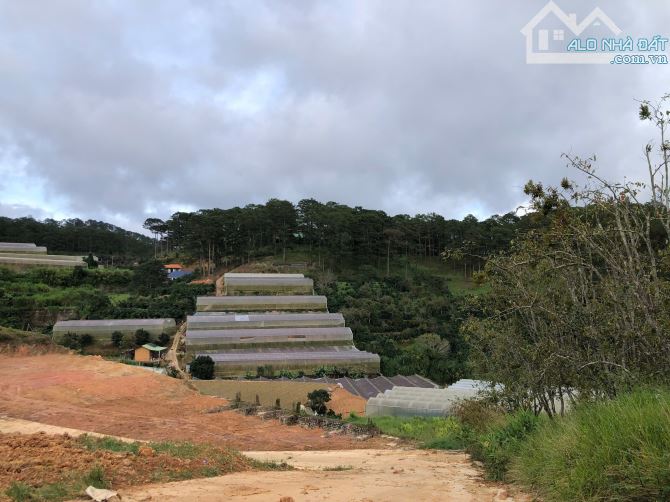 🏠 Cần bán lô đất Xuân Thọ Đà Lạt. - 1