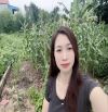 BÁN ĐẤT THẾ TRẠCH -MAI ĐÌN —SÓC SƠN —HÀ NỘI  99m