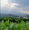 Bán đất Minh Quang, mặt đường TL415, view Sông Đà, nhìn núi Ba Vì, 1529m, 7.25tỷ