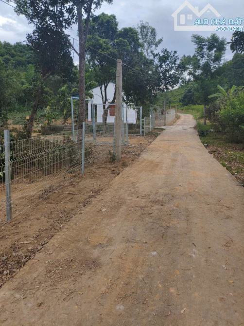 BÁN ĐẤT KHU DU LỊCH QUÈN THỜ – TAM ĐIỆP, NINH BÌNH - 4