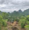 BÁN ĐẤT KHU DU LỊCH QUÈN THỜ – TAM ĐIỆP, NINH BÌNH