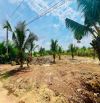 Cần bán 1000m2 đất phủ hồng có thổ cư thuộc Long Tân, Bà Rịa Vũng Tàu - Giá bán:1 tỷ 950tr