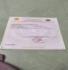 Bán 100m2  mặt đường Thanh Niên 1 Phường Ngọc Xuyên, Quận Đồ Sơn.