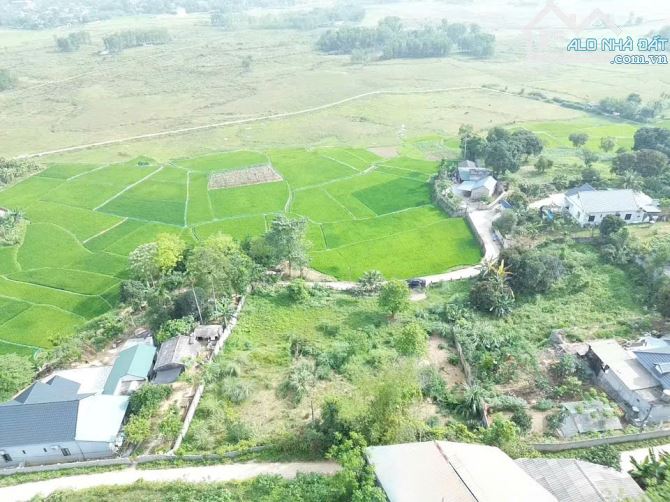 CẮT LỖ! CHỈ 4.15 TỶ, 1.200M2 ĐẤT ( Ont + Cln) view cánh đồng tuyệt đẹp tại trung tâm - 1
