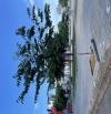 🍀🍀🍀🍀🔥 SIÊU PHẨM VIEW CÔNG VIÊN – ĐƯỜNG PHẠM THẬN DUẬT, TÂN TRÀ 🔥🍀🍀🍀🍀