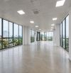 Yên Hòa - Cầu Giấy, Cho thuê sàn thương mại VP 250m2 giá 11$/m2