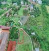 1029m2 (20x50) full thổ cư, cách Hồ Thị Hương 1,5km. Giá 4,6 tỷ