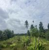 Bán 2.734 m2 đất có thổ cư mặt đường ôsông cách đường huyện 26 500m,Song Bình Chợ Gạo