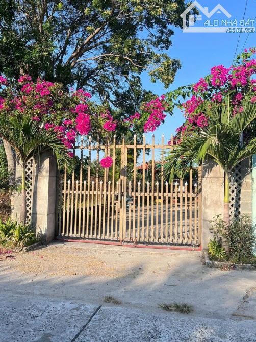 Bán 338m2 đất mặt tiền Trần Quốc Toản - Phước Hội - LaGi siêu giảm giá 1.5 tỷ - 2