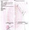 🔴💥Bán đất đường Phan Văn Trường - Trục thông biển