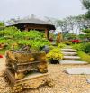 Cho thuê Vườn Hệ Sinh Thái -Phố Trần Văn Trà -VIỆT HƯNG -LONG BIÊN--DT-3000 m2--kinh Doanh