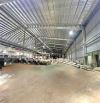 Bán xưởng KCN Nhơn Trạch 30.000 m2 chì 7 triệu usd