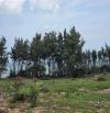 Bán 6000m2 MT đường Lạc Long Quân, P. Tiến Thành, Phan thiết có bãi biển riêng