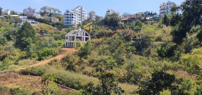 ĐẤT KHE SANH. P10. 8234M2. 600M2 XÂY DỰNG. GIÁ 49 TỶ HẠ CÒN 38 TỶ TL - 2