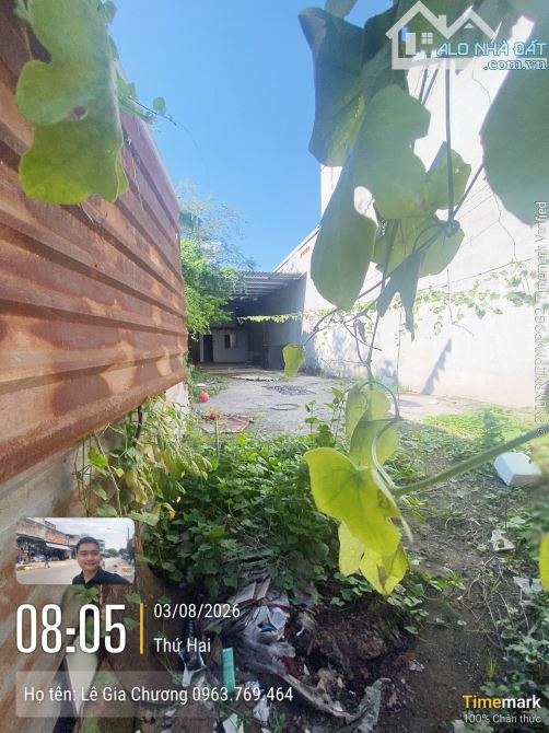 🔥 CHỦ GIẢM 100TR – GIÁ MỚI CHỈ 4,6 TỶ  🏡Đất đẹp 150m² (5x30m) – Hẻm xe tải – Lê Văn Tách - 3