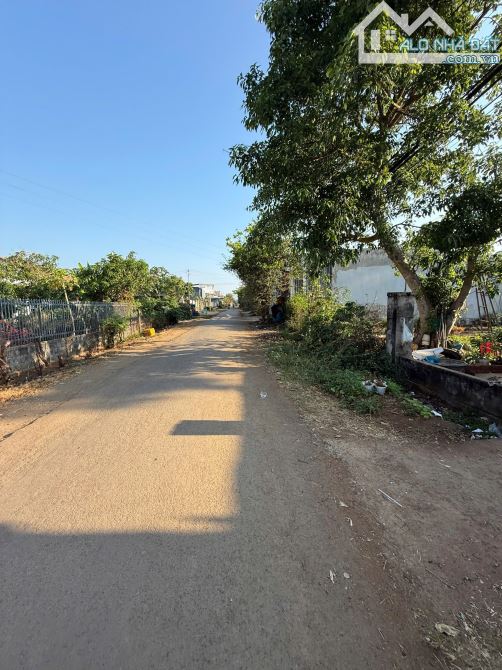20x53m ĐẤT THỔ CƯ HẺM NGUYỄN KHOA ĐĂNG GIÁ RẺ - 5