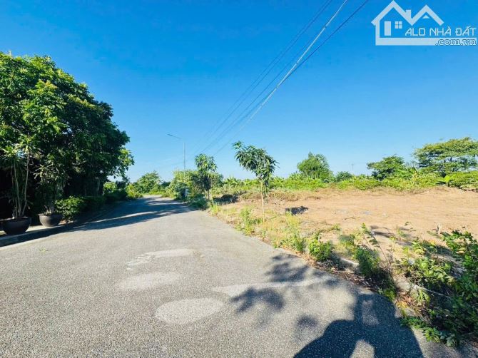 Bán đất Anh Dũng 8 - Dương Kinh - Hải Phòng - 5
