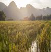ÂT KHU KINH DOANH DU LỊCH - HÀNH CUNG NINH THẮNG