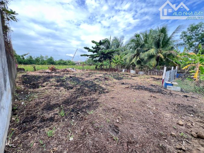 Bán 460m² đất thổ cư Đường Bùi Thanh Khiết, Xã Tân Nhựt, TP.Hồ Chí Minh