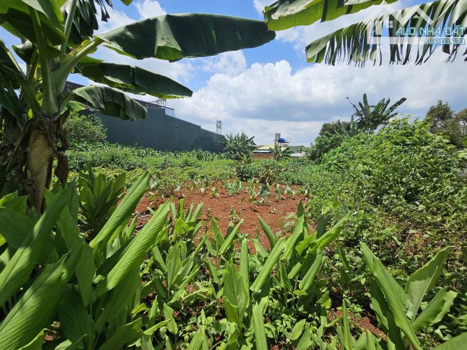 ĐẤT FULL THỔ CƯ HẺM 138 Y WANG - GẦN ĐẠI HỌC TÂY NGUYÊN (6x31): Giá 3.3tỷ - 2