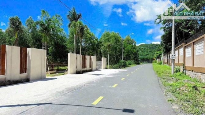 BÁN NHANH ĐẤT 2tỷ TRẤN PHƯỚC HẢI - LONG ĐẤT - BRVT( Nay là Xã Phước Hải - TP HCM) - 4