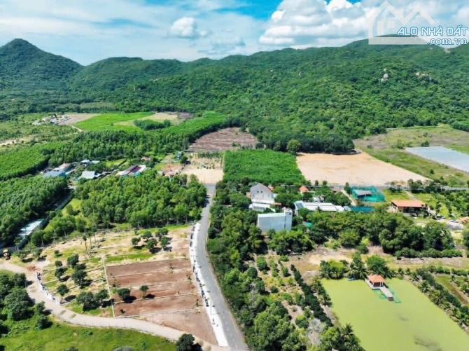 BÁN NHANH ĐẤT 2tỷ TRẤN PHƯỚC HẢI - LONG ĐẤT - BRVT( Nay là Xã Phước Hải - TP HCM) - 6