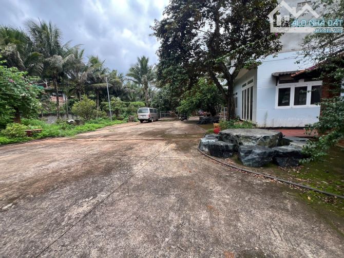 Bán đất diện tích lớn hẻm Nguyễn Lương Bằng BMT - 1