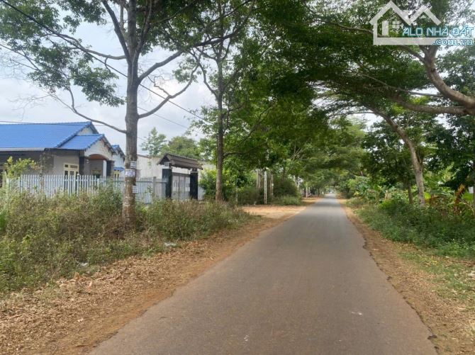ĐẤT MẶT TIỀN HẺM 171 NGUYỄN THÁI BÌNH - 2
