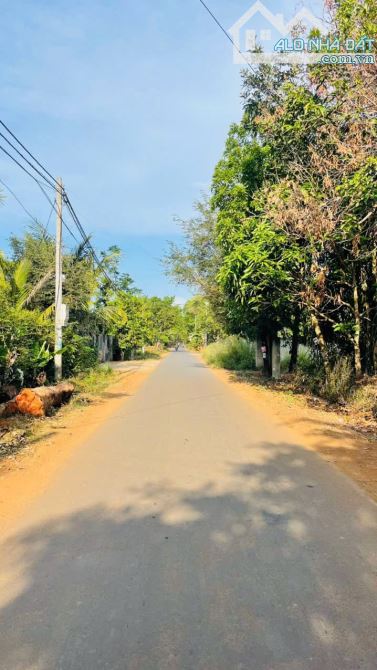 ĐẤT MẶT TIỀN HẺM 171 NGUYỄN THÁI BÌNH - 3