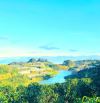 BÁN ĐẤT VIEW HỒ PHÁT CHI & ĐỒI MAI ANH ĐÀO – XUÂN TRƯỜNG, ĐÀ LẠT