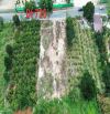Bán đất mặt tiền đường 725 Tà Nung Đà Lạt Lâm Đồng giá 9 tỷ rẻ hơn thị trường rất nhiều