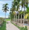Bán 871m2 đất vườn có 300m2 đất thổ cư, khổ xây biệt thự, nhà vườn, oto giá chỉ 590tr