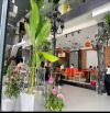 Bán đất biệt thự góc 2 mặt tiền KDC Đồng Diều Phường Chánh Hưng ( Phường 4 Quận 8 cũ )