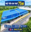 CHO THUÊ KHO XƯỞNG 2.200M² MẶT TIỀN QL 61C - CÁI RĂNG, CẦN THƠ