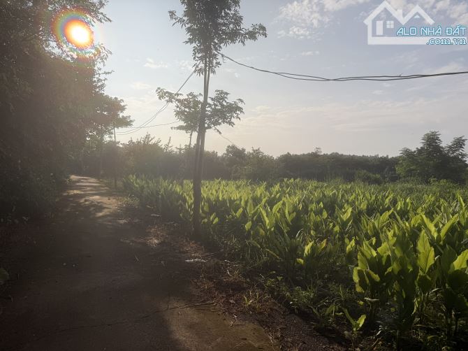 📍 Hàng đẹp Xuân Đông – 2.200m², 16,5m mặt tiền, cách chợ trường khoảng 1km - 2