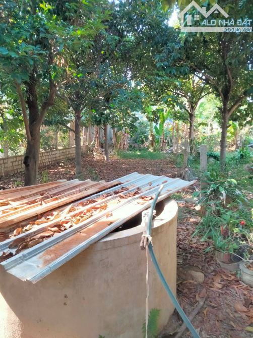 🏡 490tr/lô khu dân cư phường Bắc Nha Trang - 3